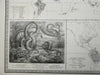 Reptiles of the World Snakes Turtles Lizards World Map 1856 Blackwood map