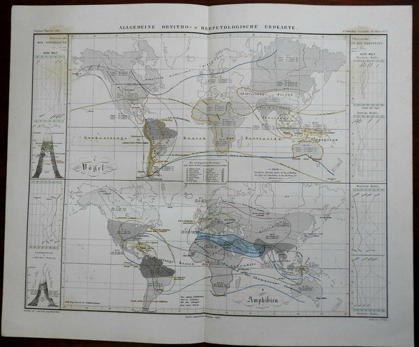 Birds & Amphibians of the World 1851 Berghaus zoological world map