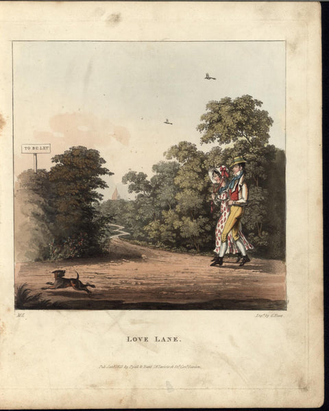 Love Lane Dublin Ireland Dog Lovers Stroll 1825 vintage color aquatint old print