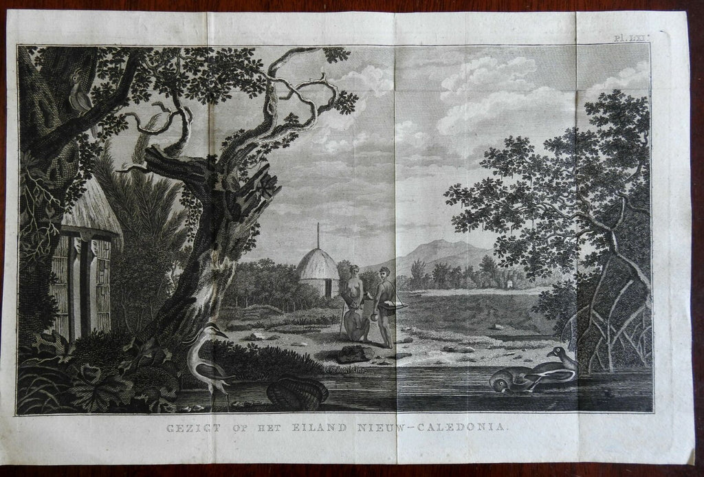 New Caledonia South Pacific Landscape View 1800 Captain Cook engraved print