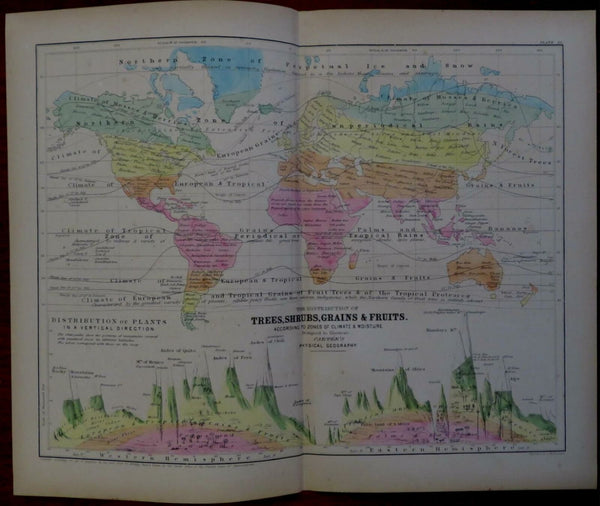 Plants of the World 1856 Boynton Botanical Map World Mountains Comparison