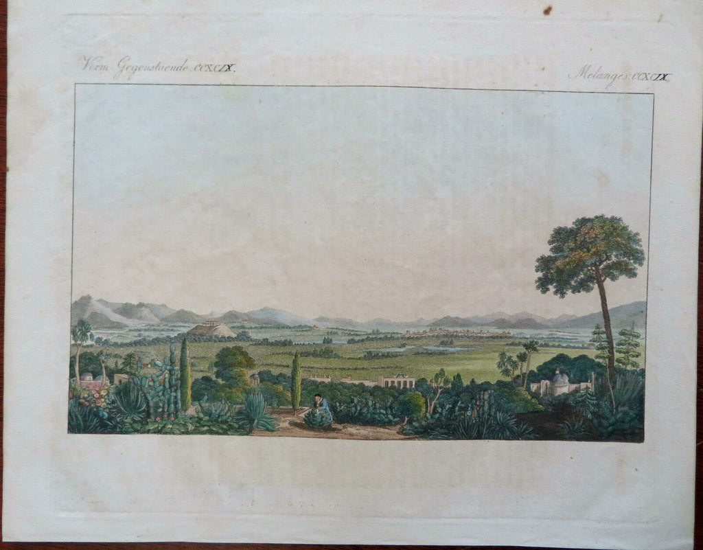 Mexico Landscape View Cacti c. 1830's Hand Colored prospect view print