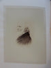 Photography book 1865 W.C. Bryant Festival 13 albumens 10 engravings Ode to Poet