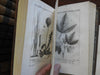 Nature Studies 1804 Etudes de la Nature by Saint-Pierre 5 vol. gorgeous leather set