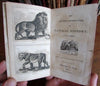American illustrated juvenile 1832 mammals lion tiger cougar cats rare old book