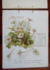 Mizpah Calendar 1898 Lover's Gift Souvenir Chromolithographed floral prints