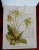 Mizpah Calendar 1898 Lover's Gift Souvenir Chromolithographed floral prints