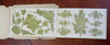 Decalcomanie Collection Crafting gold Decals Transfers c. 1870's arts booklet