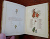 Kate Greenaway Almanac for 1883 color pictorial gift book 1st ed.