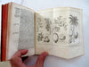 Mexico world oceans East Indies Exploration Voyages 1753 rare book maps plants