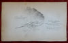 Battle Rio San Gabriel Los Angeles California 1848 Mexican-American battle plan