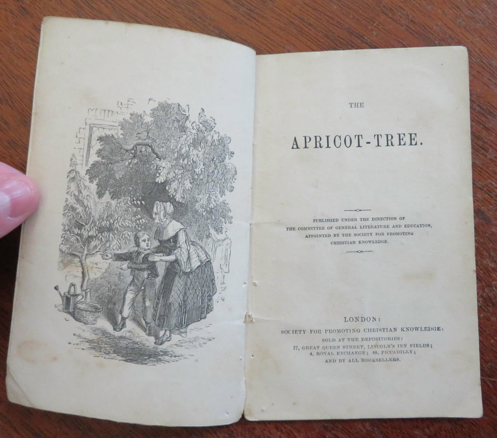 The Apricot Tree Children's Story c. 1850's Christian Juvenile Chap Book
