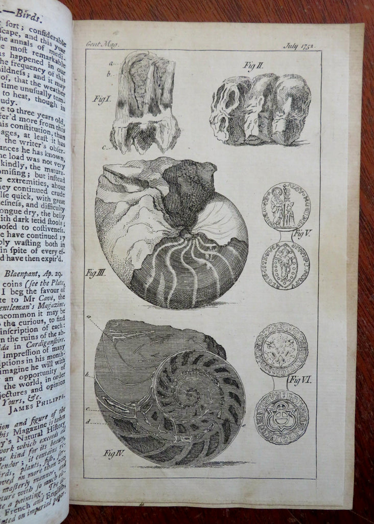 Shells coins Cancer Cure Sea Weed Sugar Viper Oil Eye Cure 1752 London mag.