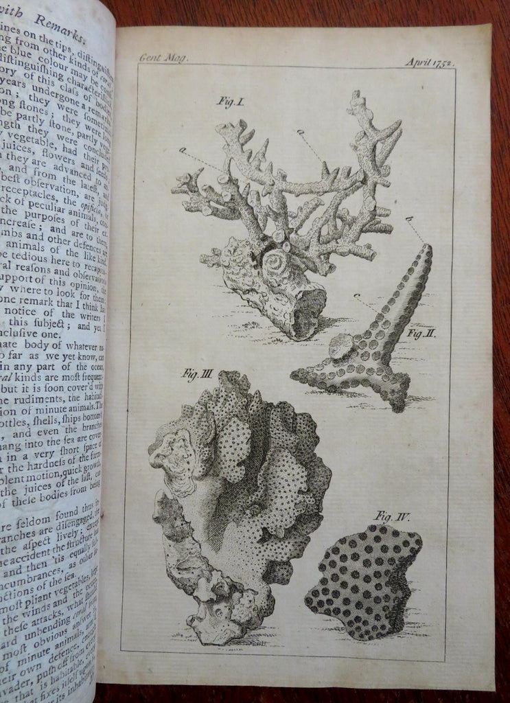 Corals Miraculous Voice Inca History Ancient Marriage April 1752 Air quality