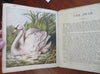 Zoological Garden Animals Children's Story c. 1870's color children's book