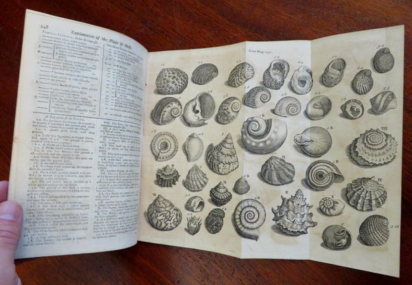Pennsylvania Native American Acadia Nova Scotia Shells 1755 London mag issue
