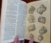 Horse Racing Burlesque Oxford Riot Gunpowder 1755 London Jefferys shells engrv.