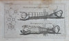 Insects American Affairs Junius Sailor Hardships Nov 1770 London mag. full issue