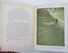 Jessie Wilcox Smith Water Babies 12 color Illustrations 1916 Kingsley book
