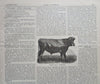 The Farm Journal American Agricultural Newspapers 1886 Lot x 5 Spring & Summer