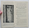 Niagara Falls New York Central & Hudson River RR 1880 pictorial brochure w/ map