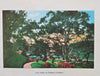 Busch Gardens Pasadena California Souvenir Album c. 1910 pictorial keepsake book