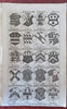 Ostrich engraving + 8 Coats of Arms English Peerage plates 1748 rare London mag.