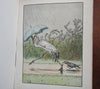 Johnny Crow's Garden c. 1910 L. Leslie Brooke Art Nouveau illustrations old book