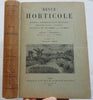 Horticultural Review 1911 Botanical Journal 24 color litho plates flowers fruits