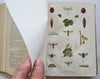Horticultural Review 1911 Botanical Journal 24 color litho plates flowers fruits