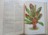 Horticultural Review 1932-33 Botanical Journal 23 color Floral plates flowers