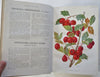 Horticultural Review French Botanical 1936-37 nice run 24 issues 16 color plates