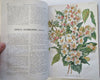 Horticultural Review French Botanical 1936-37 nice run 24 issues 16 color plates