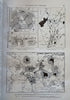 Horticultural Review French Botanical 1936-37 nice run 24 issues 16 color plates