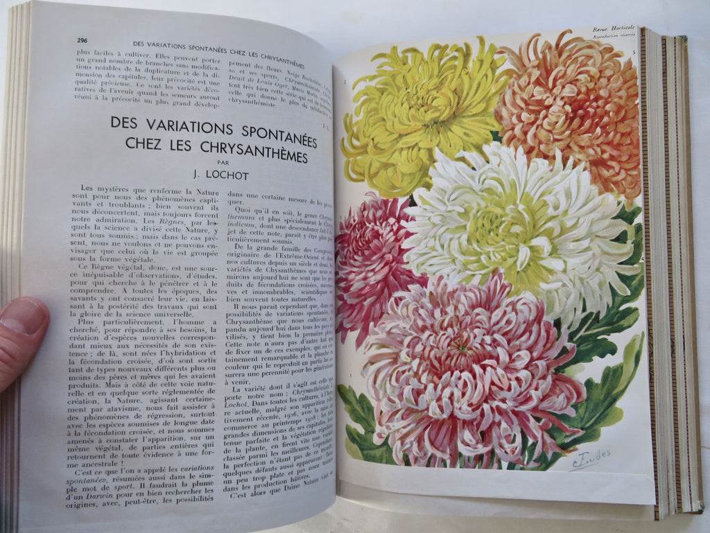Horticultural Review French Botanical 1936-37 nice run 24 issues 16 color plates