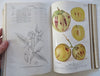 Horticultural Review French Botanical 1936-37 nice run 24 issues 16 color plates