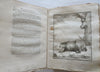 Natural History 1765 Sloths Mice Bats Rodents rare book 59 fine engraved plates