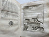 Natural History 1765 Sloths Mice Bats Rodents rare book 59 fine engraved plates