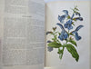 Horticultural Review 1909 Botanical Journal 24 color litho plates flowers fruits