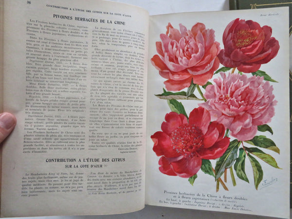 Horticultural Review 1934 Botanical Journal 23 color litho plates flowers fruits