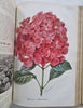 Horticultural Review 1934 Botanical Journal 23 color litho plates flowers fruits
