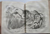 Punch Magazine 1857 U.K. leather pictorial bound periodical wood engravings