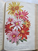 Botanical Journal 1924 Horticultural Review 24 color litho plates flowers fruits