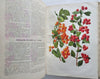 Horticultural Review 1907 Botanical Journal 24 color litho plates flowers fruits