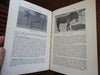 Official New York Zoological Park Guidebook 1911 Hornaday illustrated w/ map