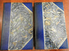 Le Capitain Fracasse 1903 Theophile Gautier decorative 2 volume leather set