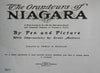 Niagara Falls NY views by Pen & Picture c. 1900 illustrated souvenir album