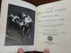 Popular West Coast Flora 1905 Volney Rattan illustrated guidebook w descriptions