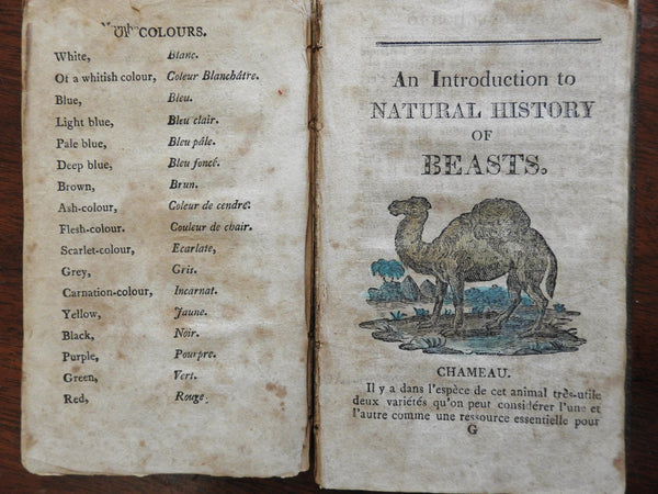 Juvenile Primer Natural History Birds Animals 1812 Baltimore French lang. book