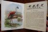 Malena c.1905 Patent Medicine color booklets Advertising Lot x 11 juveniles